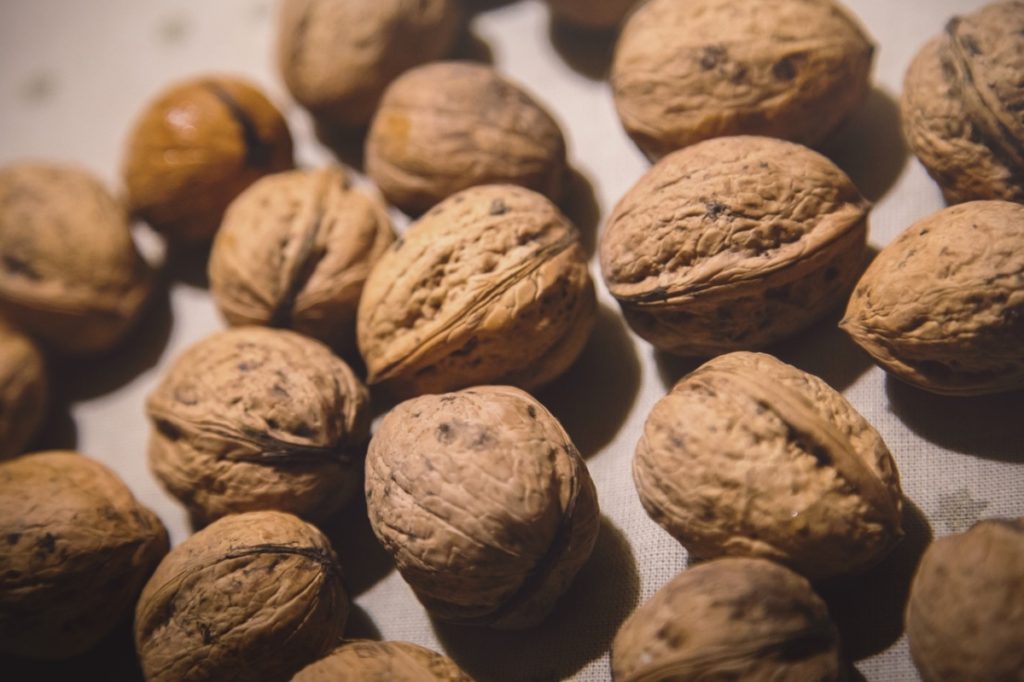 Male fertility: Walnuts Improve semen quality in men Alpha Rise Health