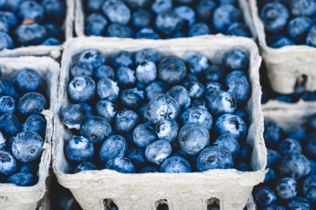 Blueberries and its benefits, what you need to know Alpha Rise Health