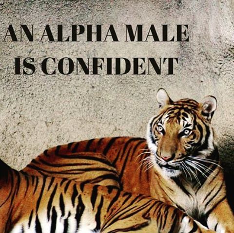 Alpha males are confident Alpha Rise Health