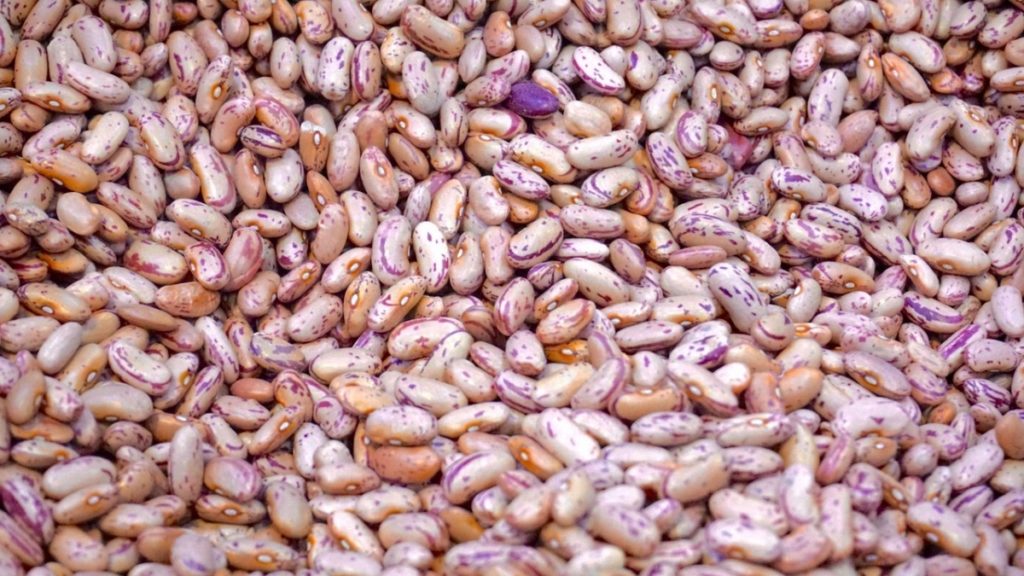 Life Tips: Beans and its benefits Alpha Rise Health