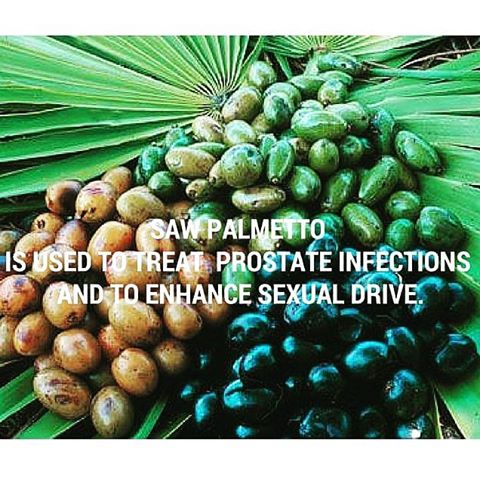Does Saw Palmetto Treat Enlarged Prostate? Alpha Rise Health
